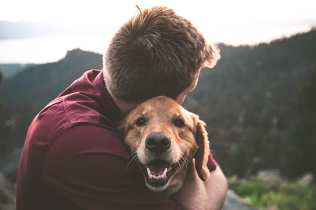 How to Bathe Your Dog Properly: Step-by-Step Guide