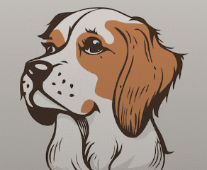 Pretty Paws Parlour Dog Grooming